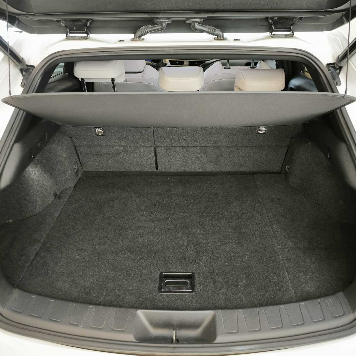 Lexus UX Hybrid 4WD Premium